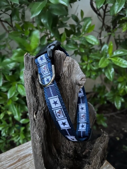 Dallas Cowboys Dog Collar
