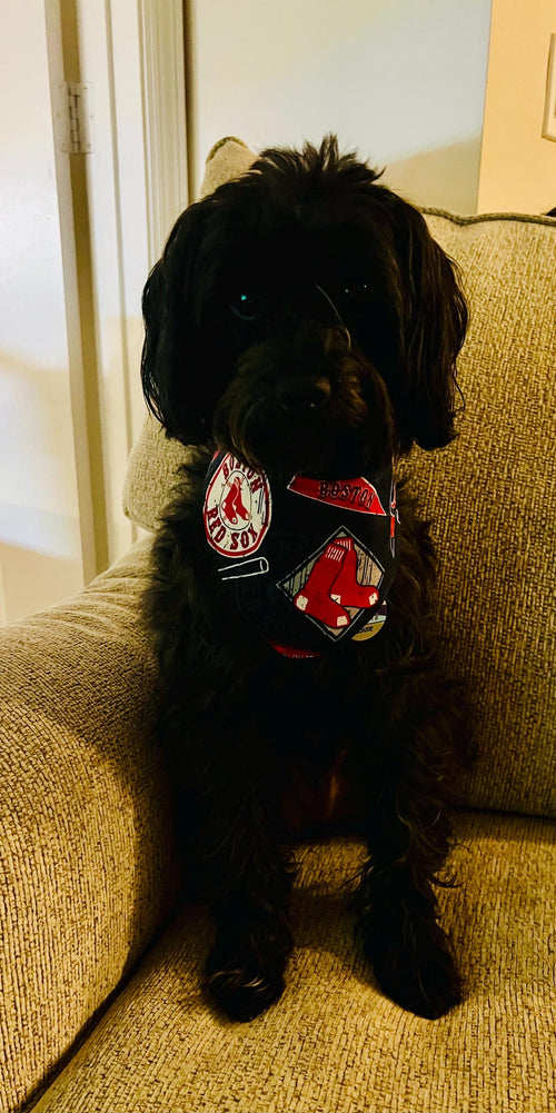 Boston Red Sox Reversible Dog Bandana