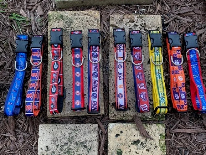 Dallas Cowboys Dog Collar